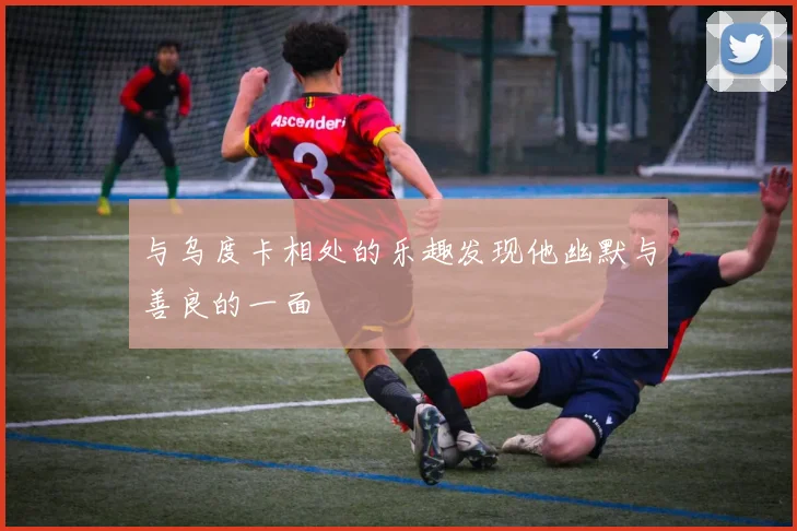 与乌度卡相处的乐趣发现他幽默与善良的一面