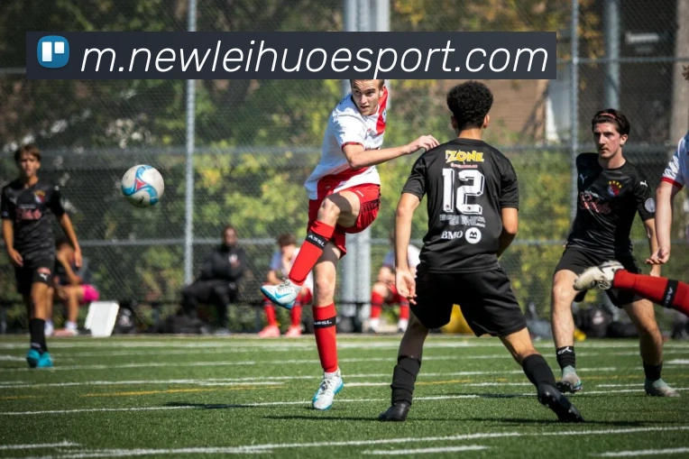 雷火电竞发展历程